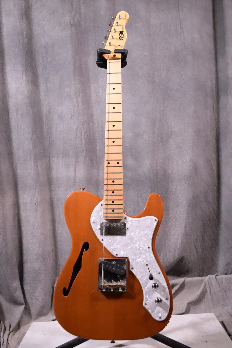 FGN FUJIGEN/ Fujigen электрогитара Neo Classic Telecaster тип Thinline-3