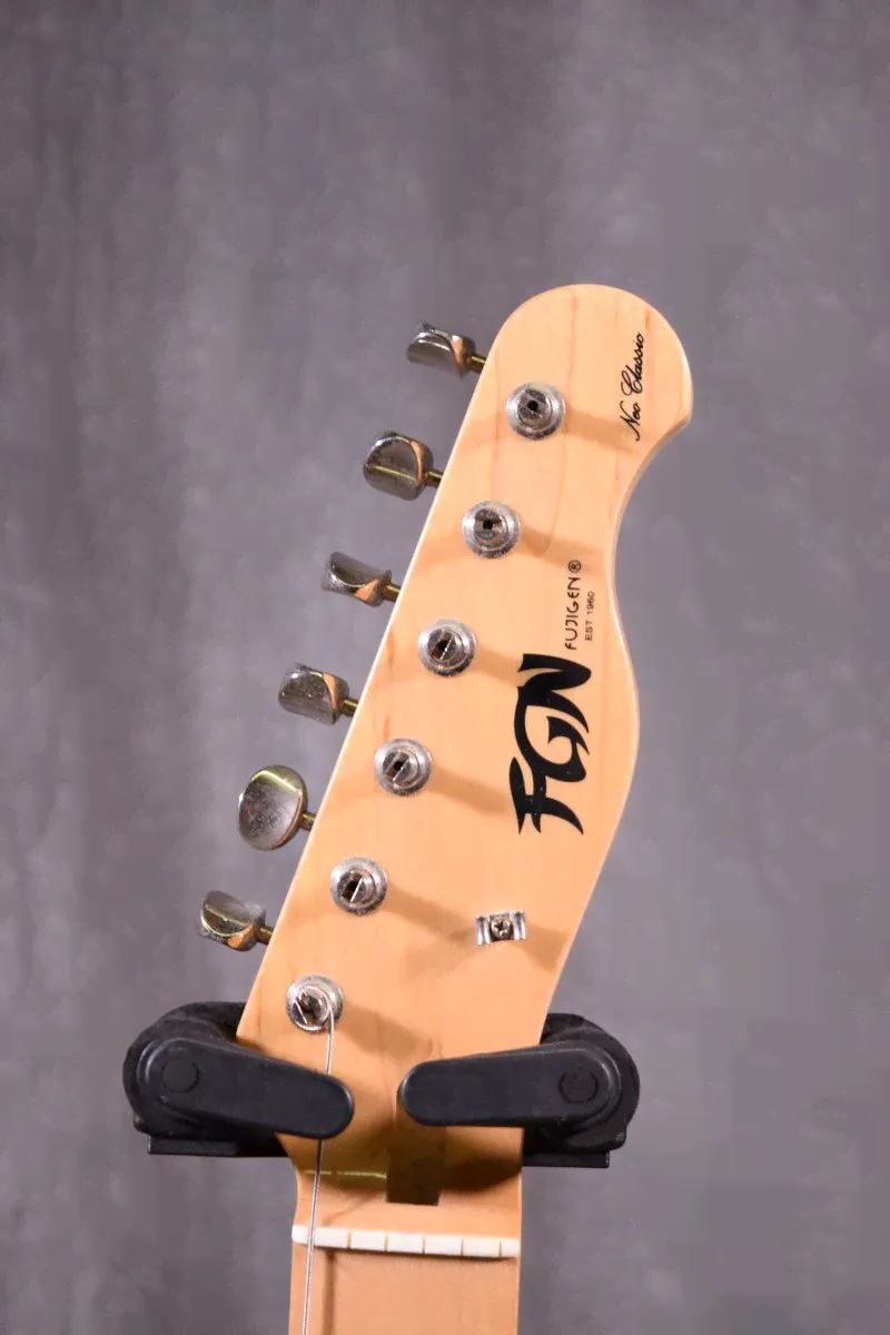 FGN FUJIGEN/ Fujigen электрогитара Neo Classic Telecaster тип Thinline-1