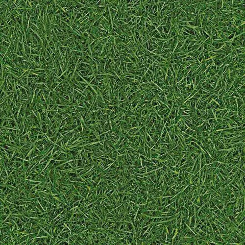 Линолеум бытовой "IVC" Neo Grass 25 (4м)