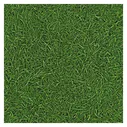 Линолеум Нео ГРАСС 025 (IVC Neo Grass 25)