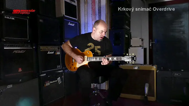 FGN Guitars Neo Classic NCLS-10RP