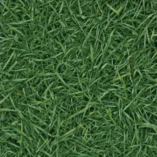 Линолеум IVC Neo Grass 025 ширина 3м /90