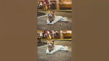 vivo X90 Pro VS DSLR - Portrait Mode Comparison 📸