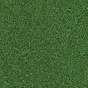 Линолеум бытовой "IVC" Neo Grass 25 (4м)