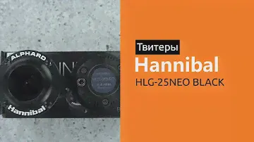 Распаковка твитеров Hannibal HLG-25NEO Black