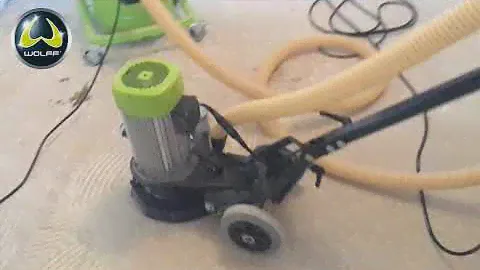 WOLFF AT WORK: Neo 230